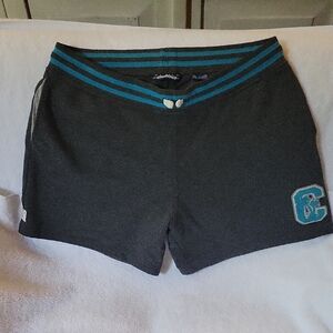 Chubbies Dark Gray Shorts with Teal Accents
